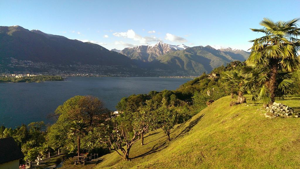 Corte Delle Camelie Gambarogno Exteriér fotografie